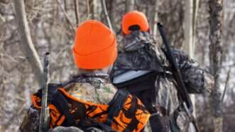 Two hunters, seen from behind, walk through the woods in orange and camo.