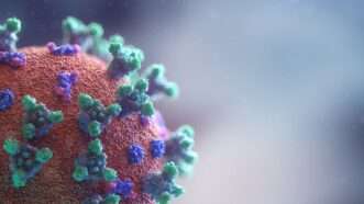 Coronavirus medical animation