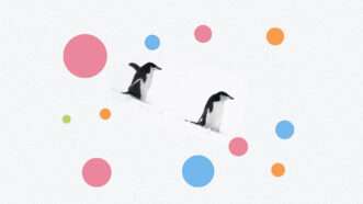 Penguins with colored dots around them.